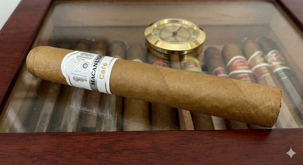 Macanudo Café cigar resting in elegant humidor showcase – discover smooth, coffee-infused blends at cigar store tulsa.