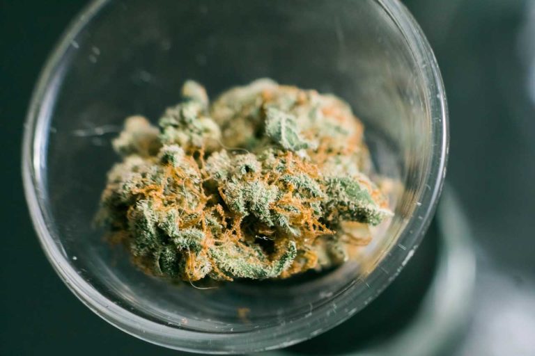 Macro shot of a high quality green cannabis flower bud inside a clear glass dish at a delta 8 store Tulsa dispensary.