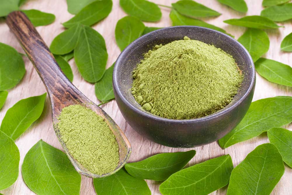 Herbal green powder in a bowl and spoon at a kratom shop Tulsa location, surrounded by fresh botanical leaves.